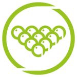 Poolball Icon