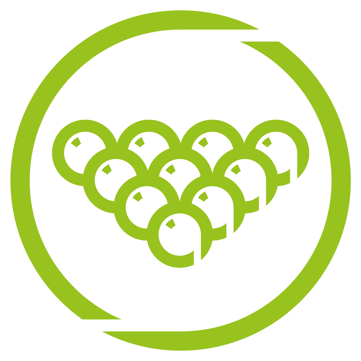 Poolball icon